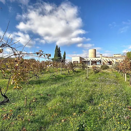Son Bennasar By Slow Villa